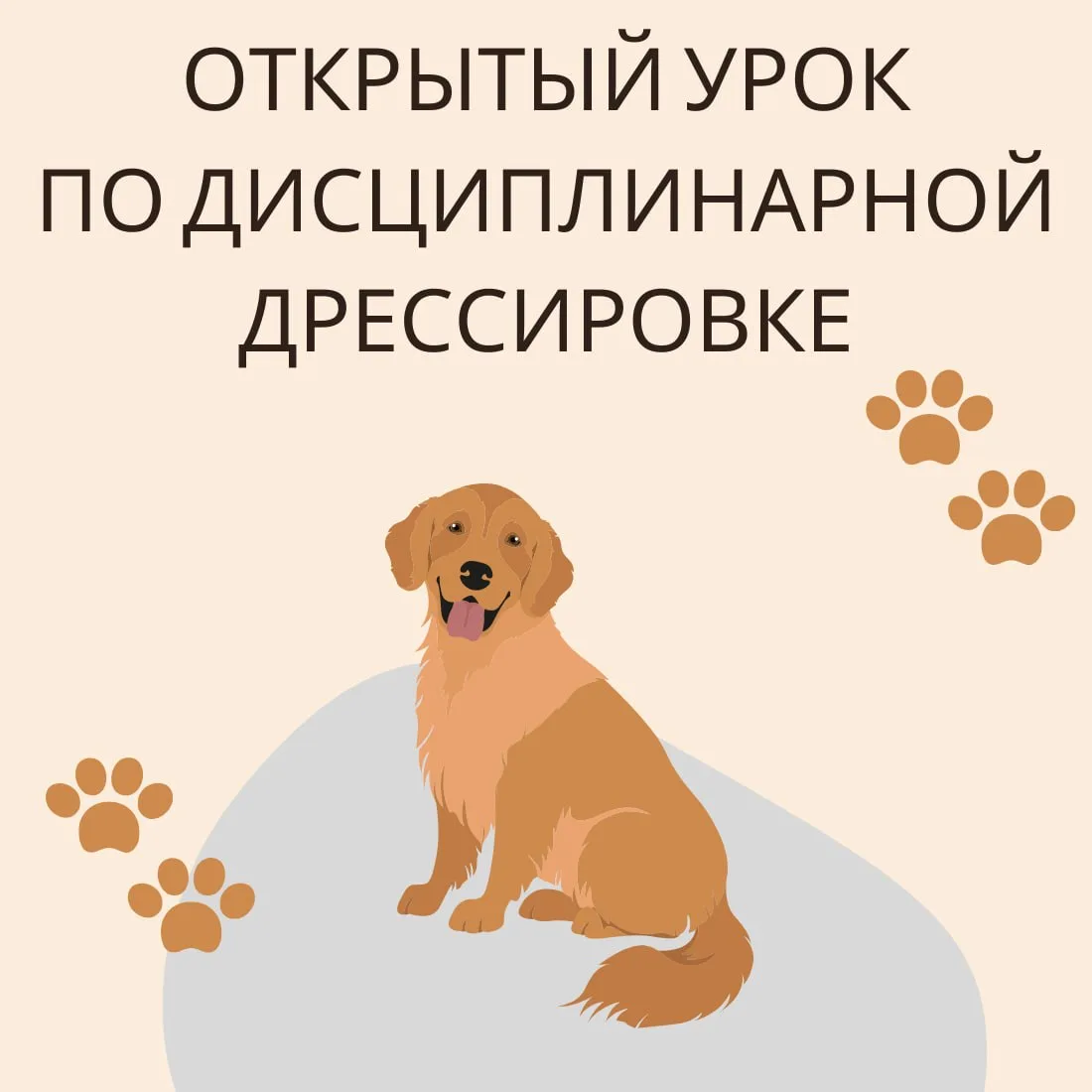 В субботу 20 июня жителей приглашают на открытый урок по дисциплинарной дрессировке. Пр...