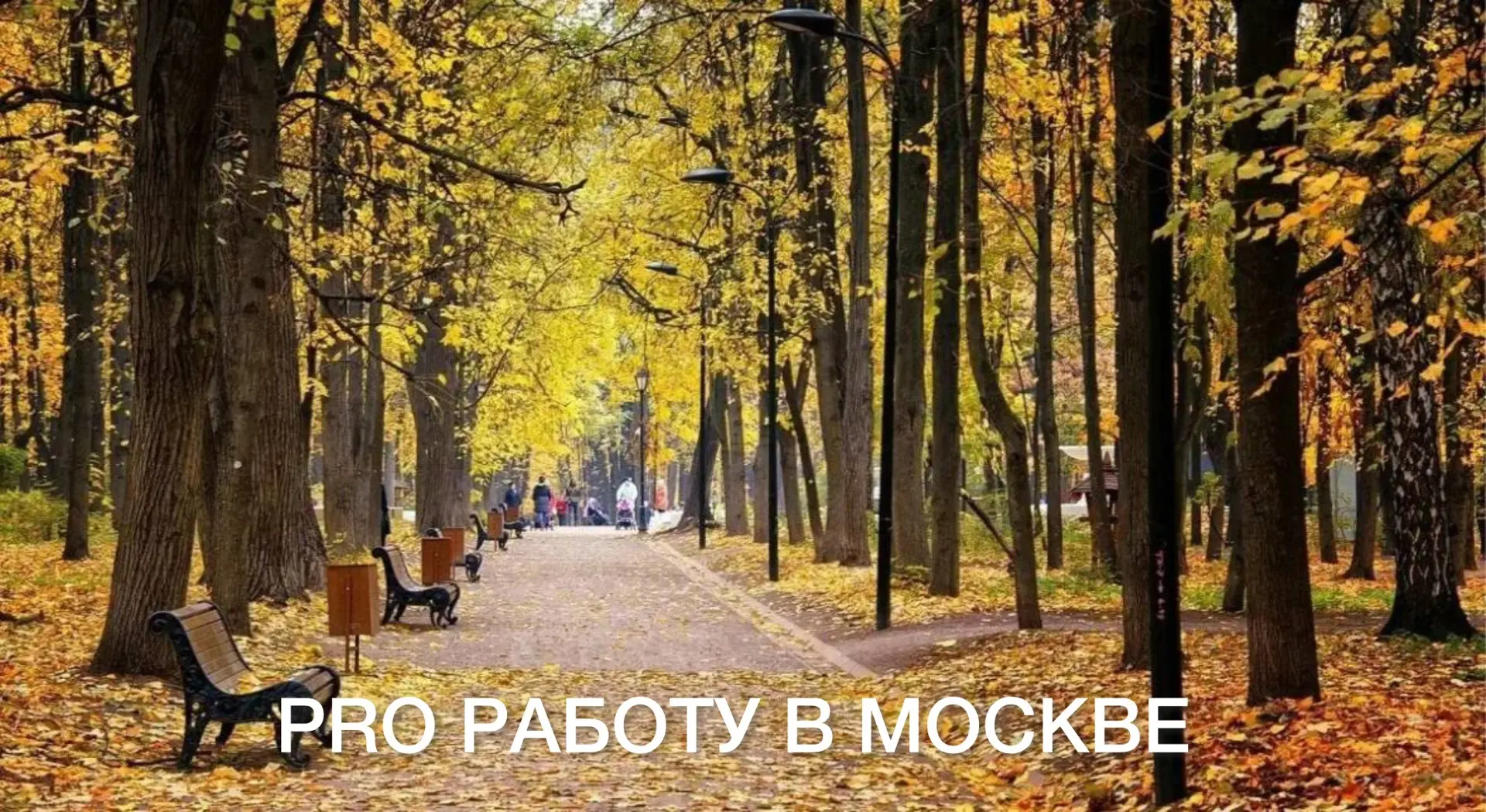 Бариста в ресторан Kalabasa