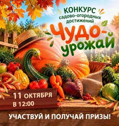 🍊🍑🍅 Вырастили гигантскую тыкву, микро-огурчик или томат причудливой формы?