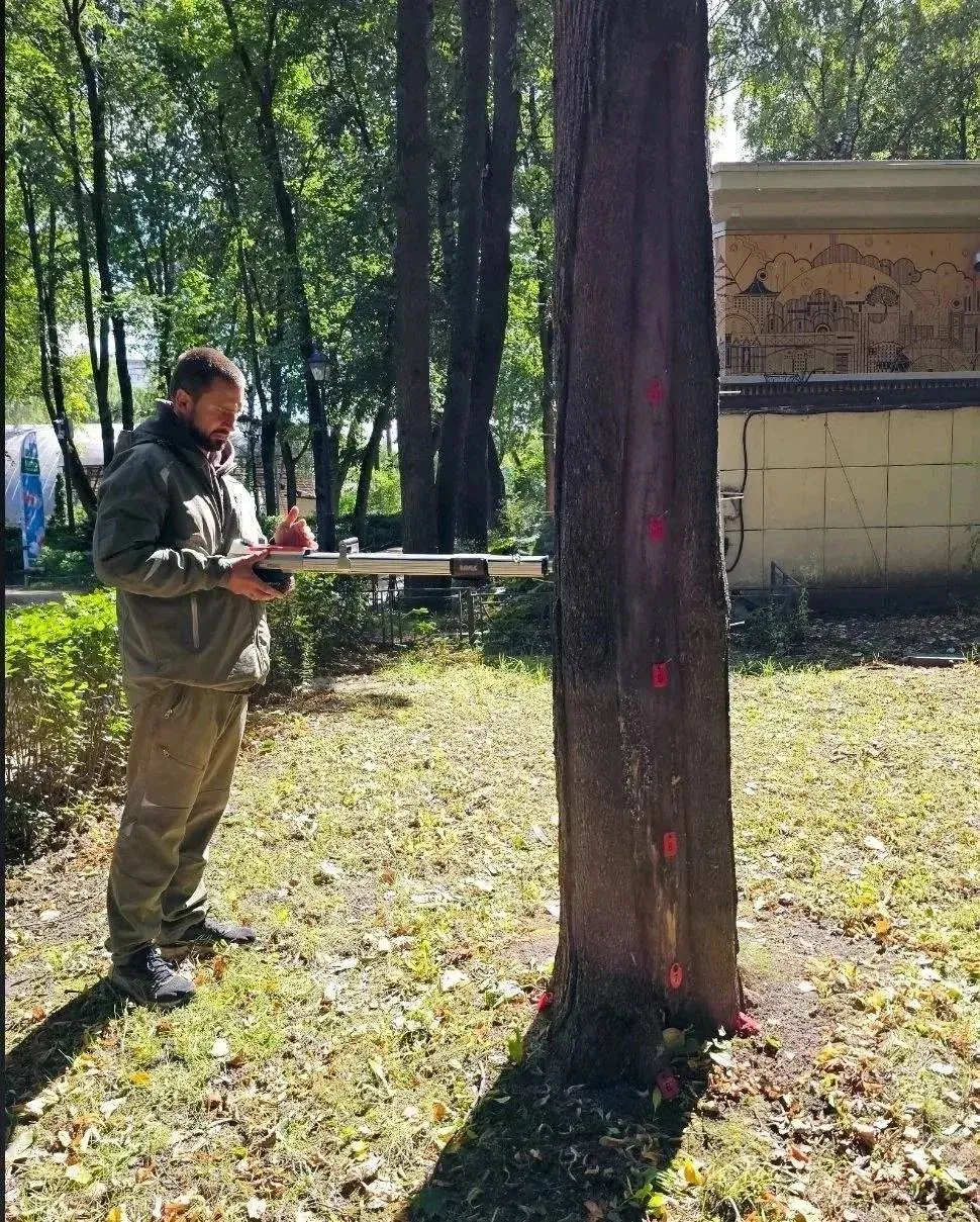 🌳В Бабушкинском парке провели диагностику деревьев. Для этого используют томограф!