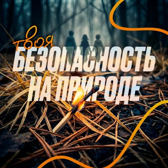 Какое же лето без прогулок, пикников и походов? 🍃