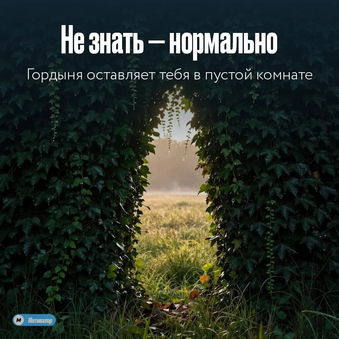 Сильные не боятся сказать «я не знаю».
Пока ты доказываешь что прав — ты стоишь на месте. Тот кто пр