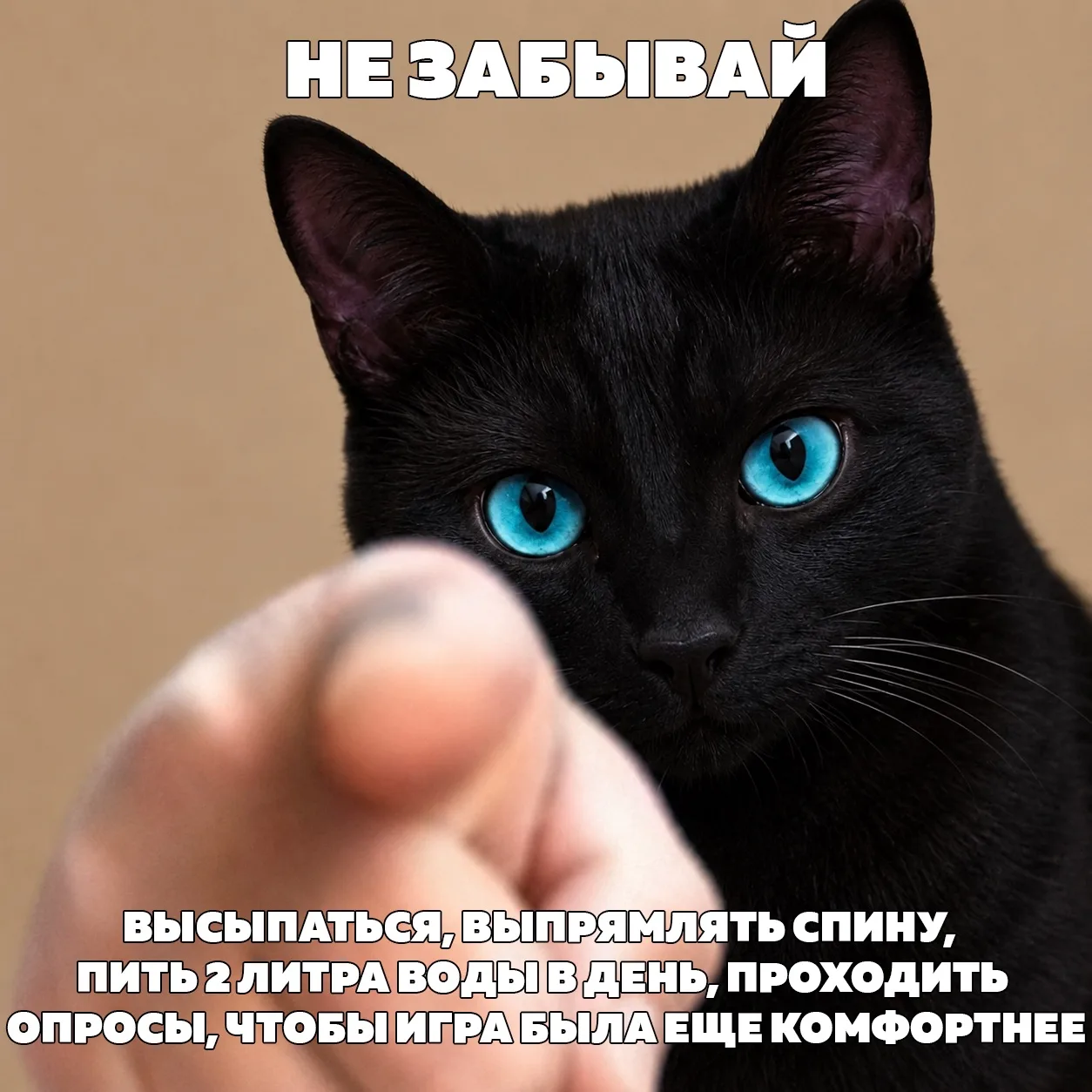 👉 Опрос тут 👈
