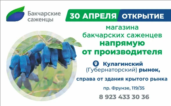 🌱🎉 Снова вместе! 🎉🌱

Уже второй год открываем для вас двери нашего магазина «Бакчарские саженцы»