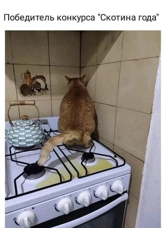 Без слов 😂