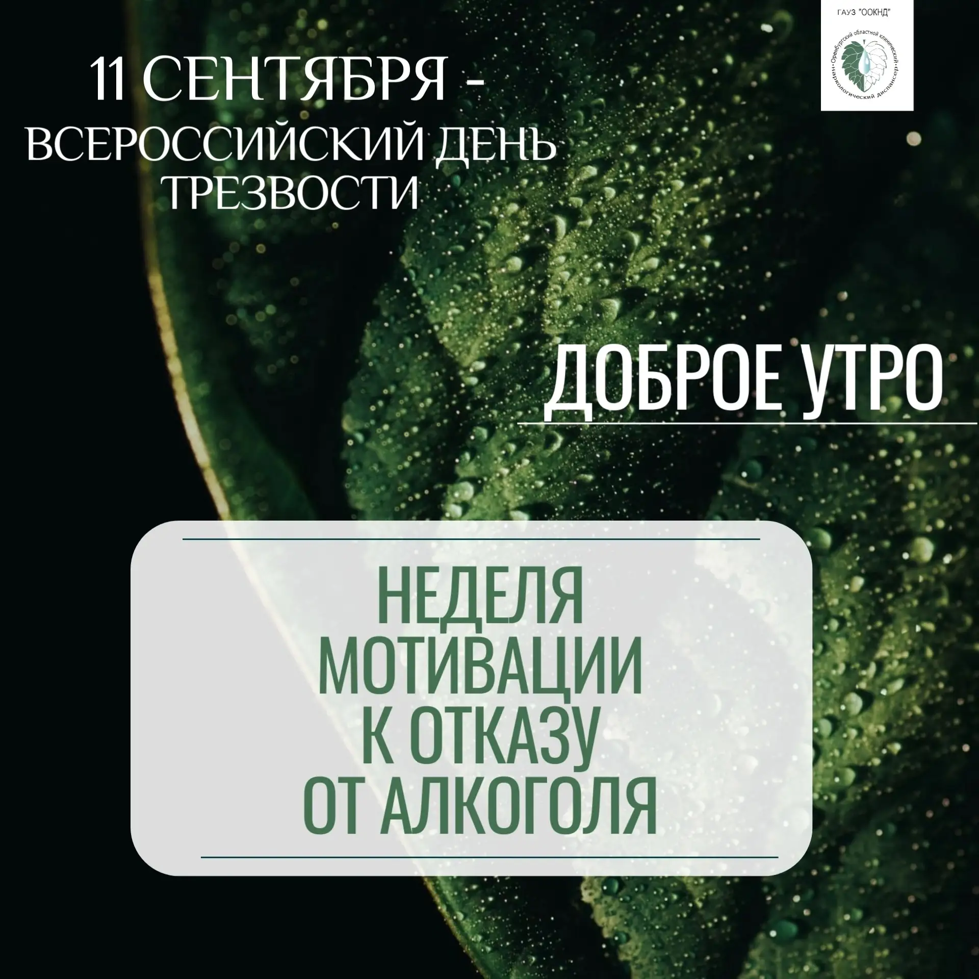 Доброе утро, наши дорогие коллеги и подписчики! ☀