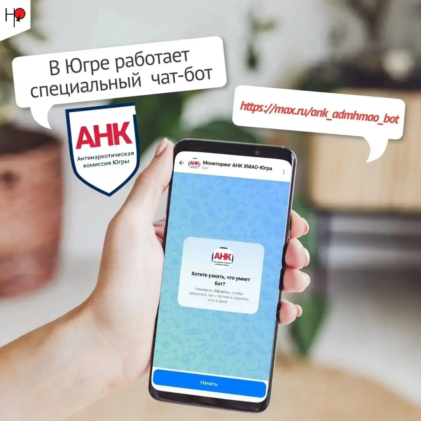 В Югре работает специальный чат‑бот, с помощью которого можно быстро сообщить о незакон...
