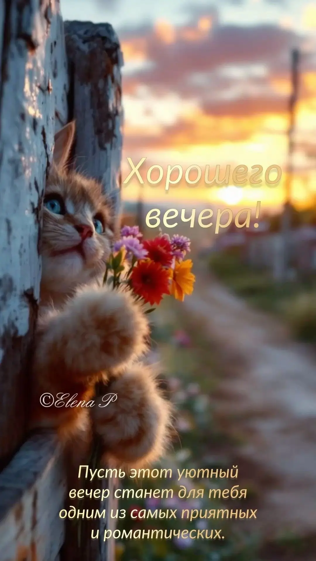 #хорошеговечера