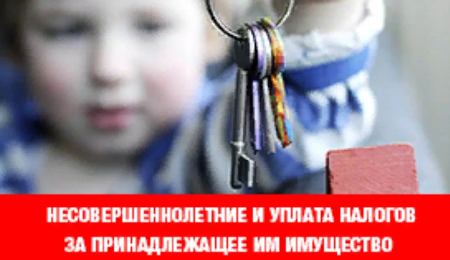Внимание родители!

Если у Вашего ребёнка есть имущество – например, доля в квартире, дом, земельный