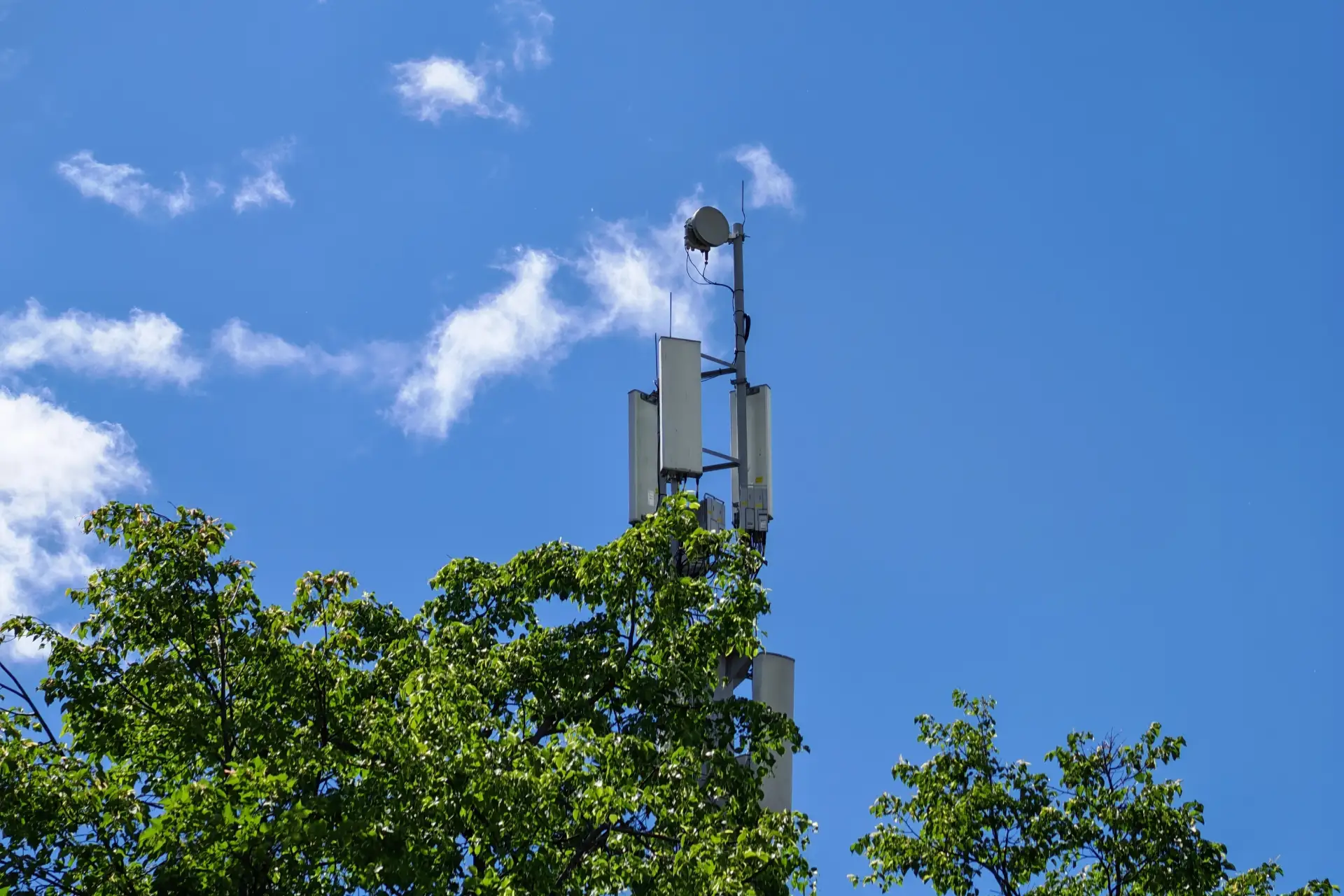 📡 Минцифры подготовило проект перечня территорий, где после 1 сентября должна появиться связь от вс