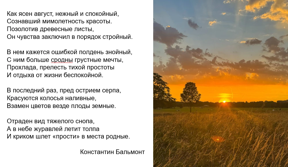 Август: Чем заняться или как поймать лето за хвост