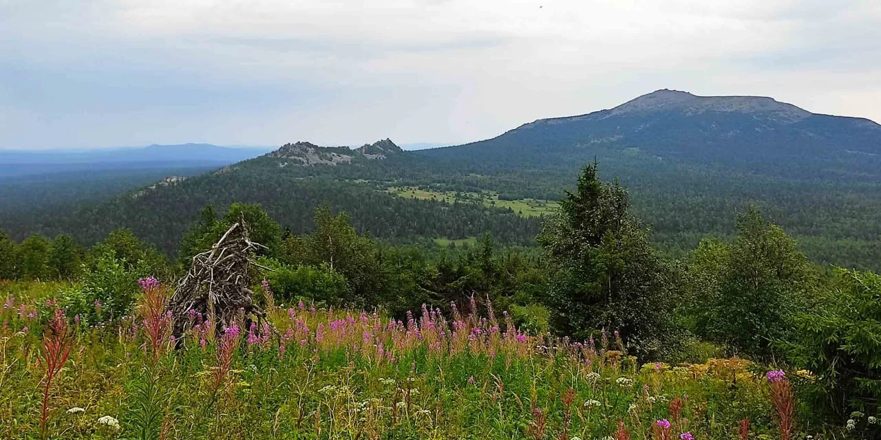 🌳Заповедник Басеги в Пермском крае: как не встретить медведя, погулять по каменной реке и увидеть т