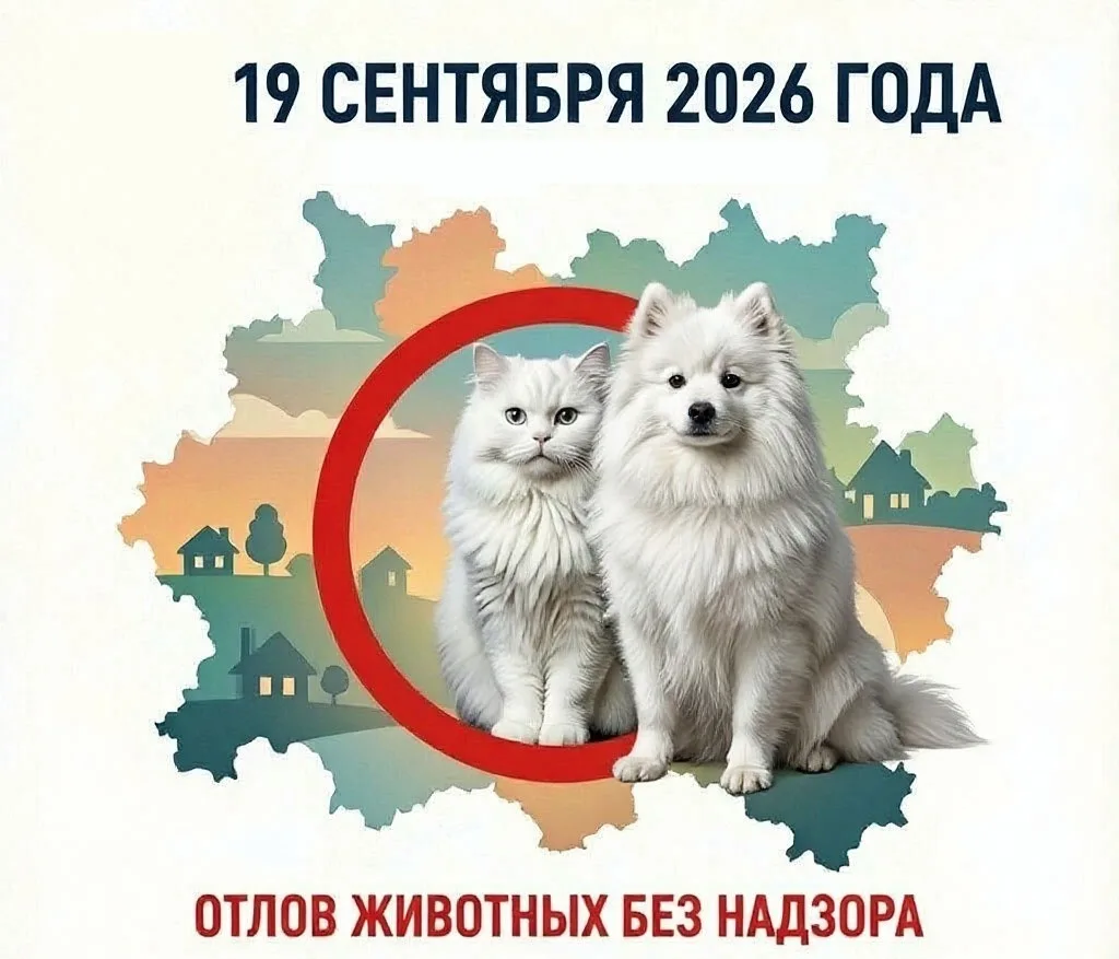19 сентября 2026 года на территории Киришского муниципального района специалистами ООО ...