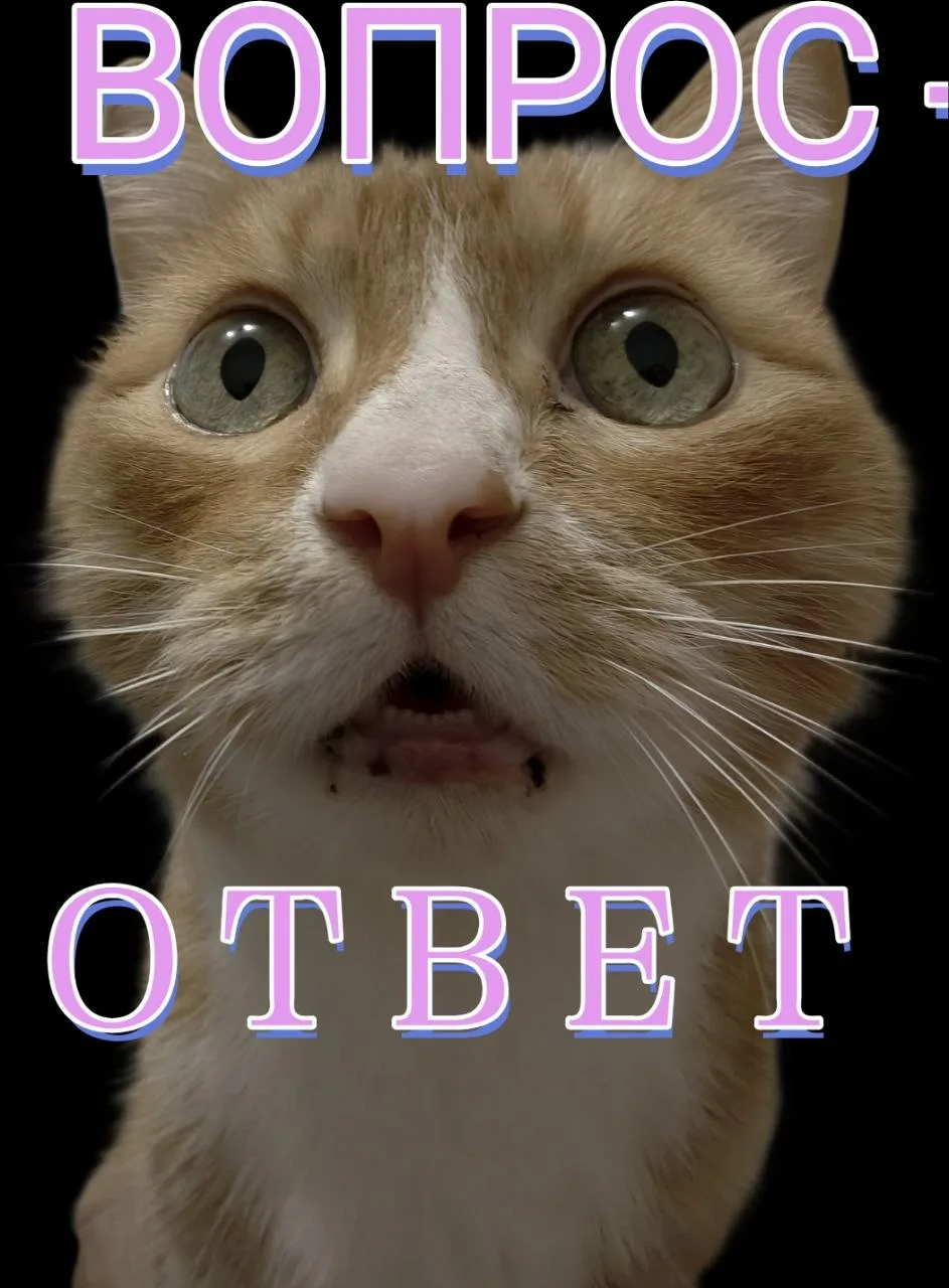 📣 АНОНС: Завтра — наша традиционная рубрика «Вопрос-ответ»!

Друзья, завтра суббота 🗓️ — а это зна