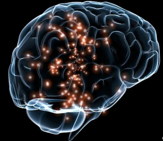 🧠 Почему любопытство помогает сохранять активность?