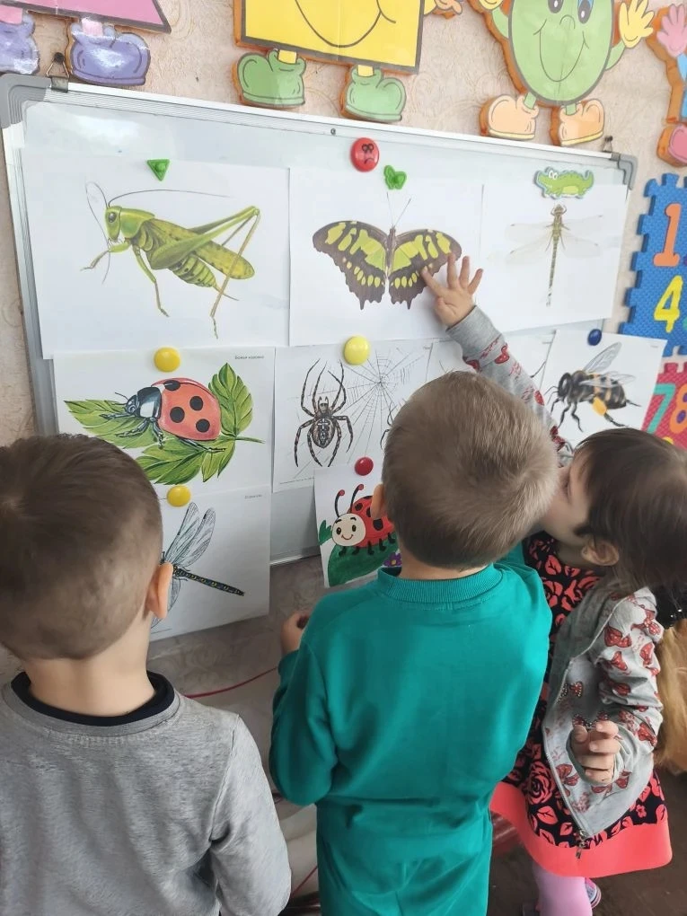 Божья коровка,
