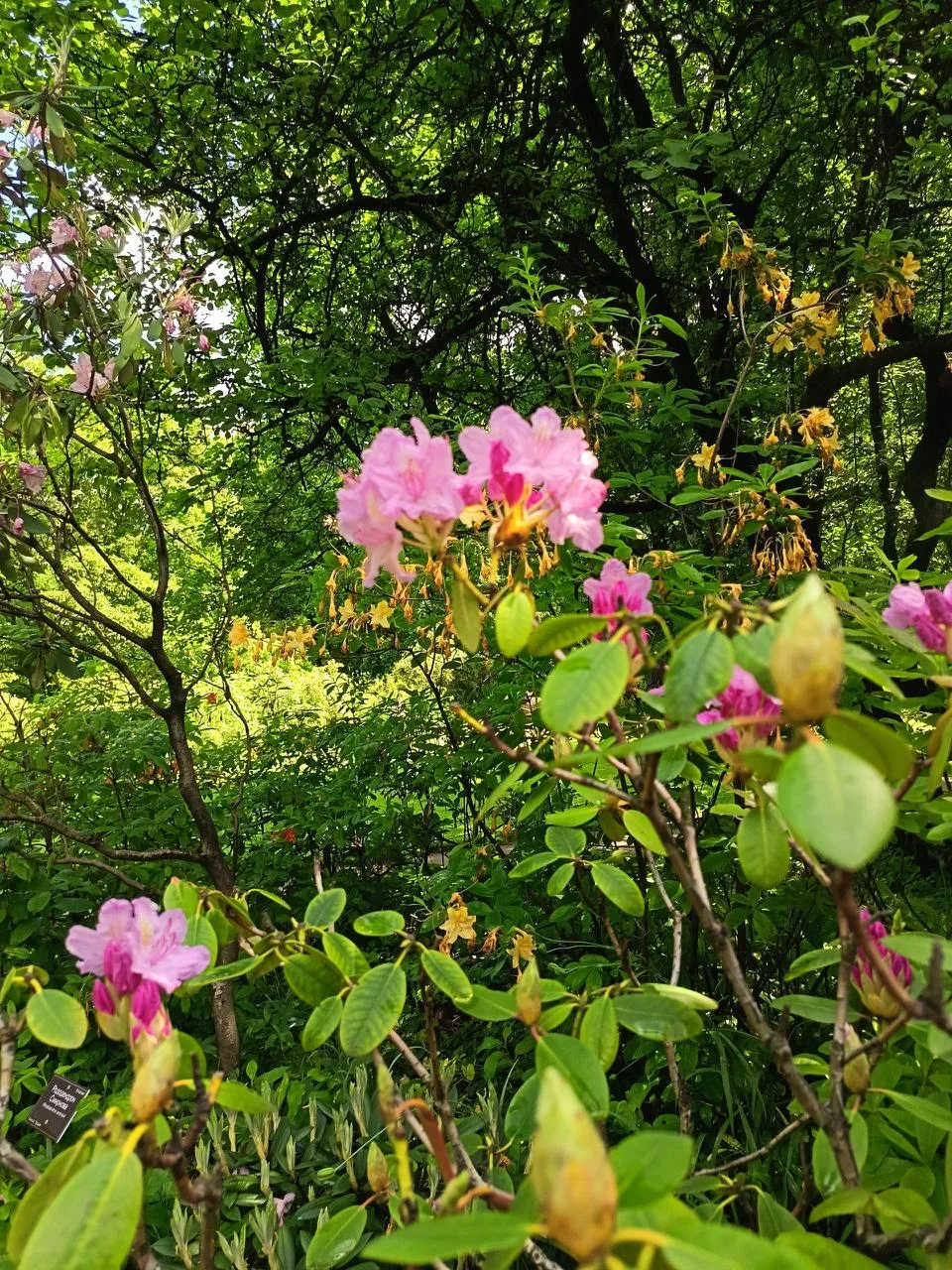 🤩 Доброе утро! 

Погода на сегодня: небольшой  дождь,  +18….12°С
 
📷 Кольченко Д.