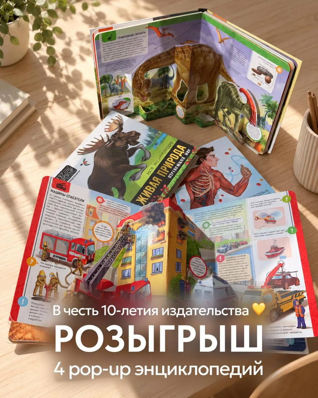 🎁 День рождения Malamalama — время дарить книги!