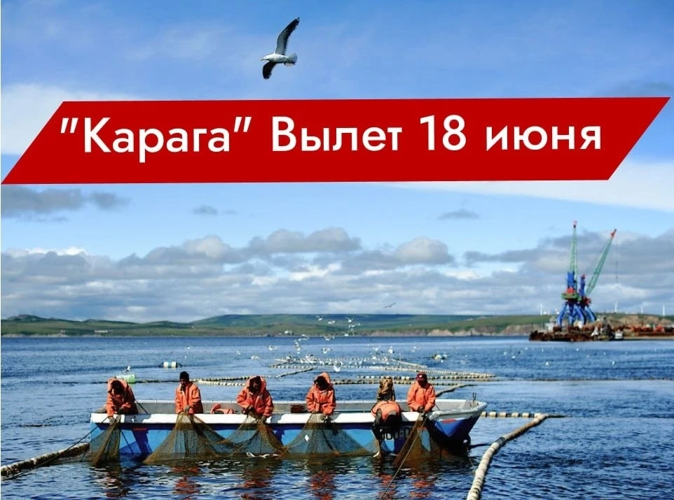 ⚓ КАМЧАТКА 2026: ПРОВЕРЕННЫЙ ЗАВОД «КАРАГА»