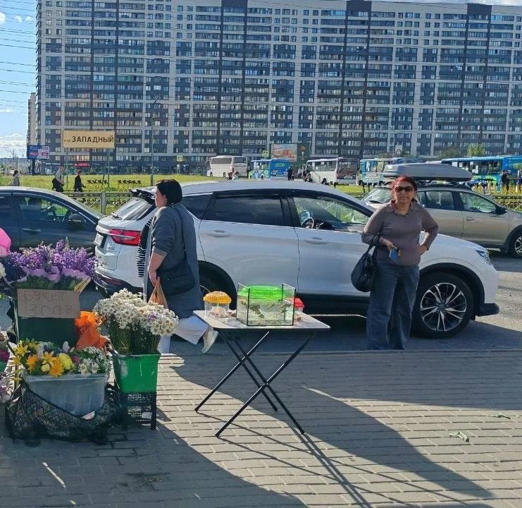 Живодеры продолжают нелегальную торговлю черепахами, несмотря на запрет Росприроднадзора 

Неравноду