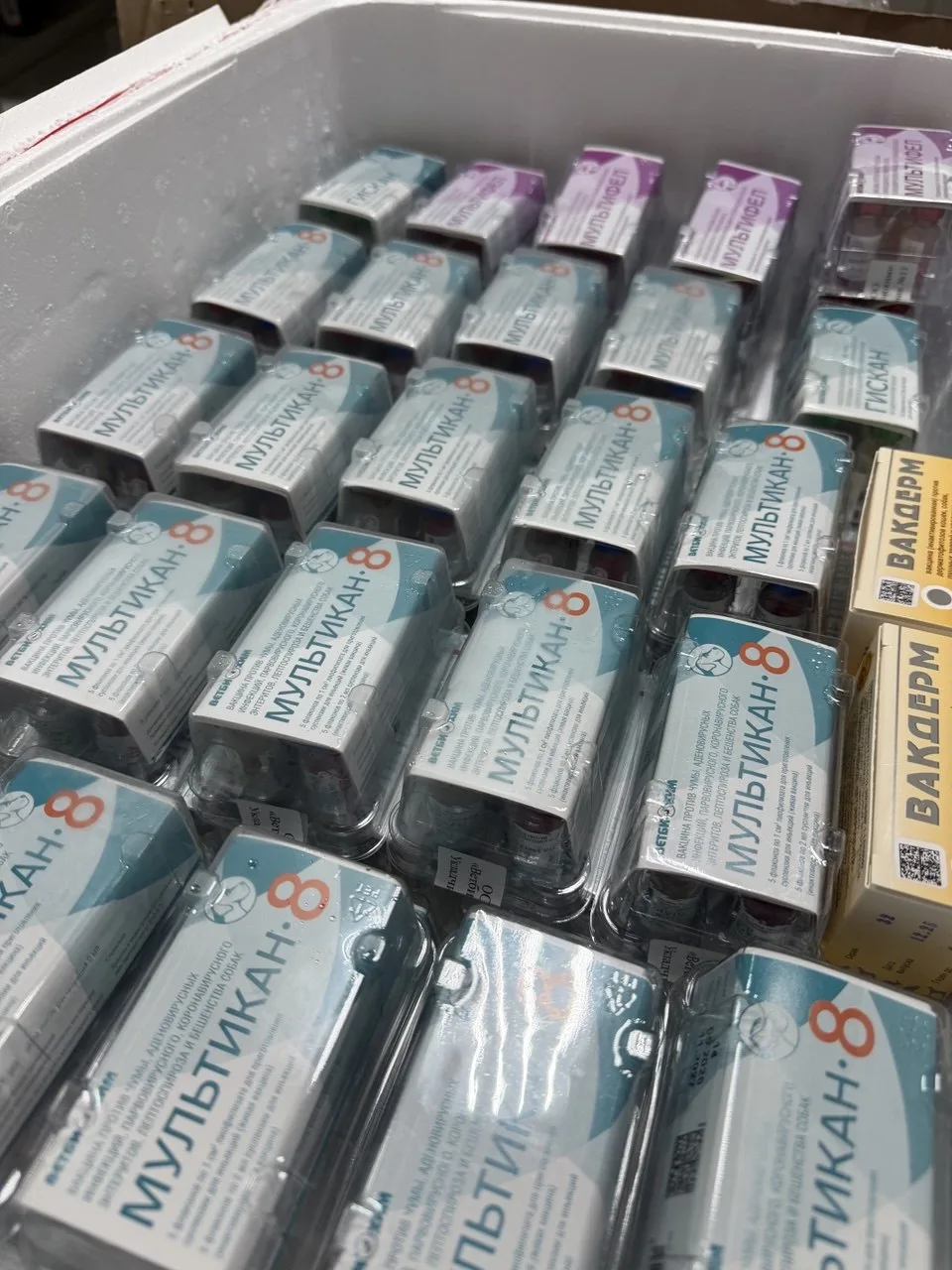 В наличии появилась вакцина Мультикан-8 💉
По вопросам обращаться по адресу : Пер.Горького,13.🏠

По
