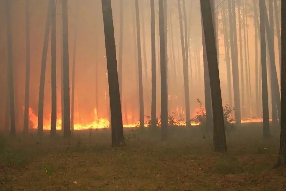‼️МЧС по Липецкой области предупреждает:🔥 с 21 августа на территории Липецкой области ...