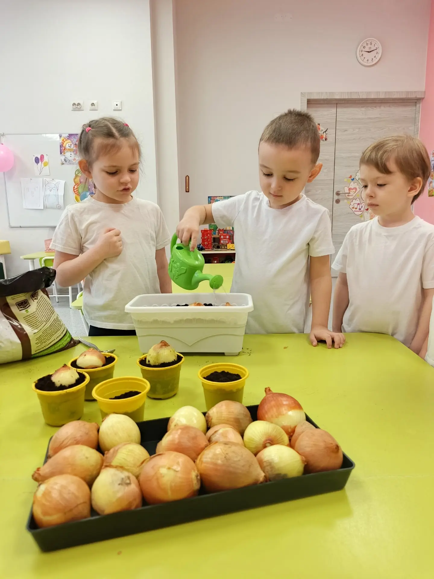 🌱Высадка лука и гороха в средней группе «Карамельки»