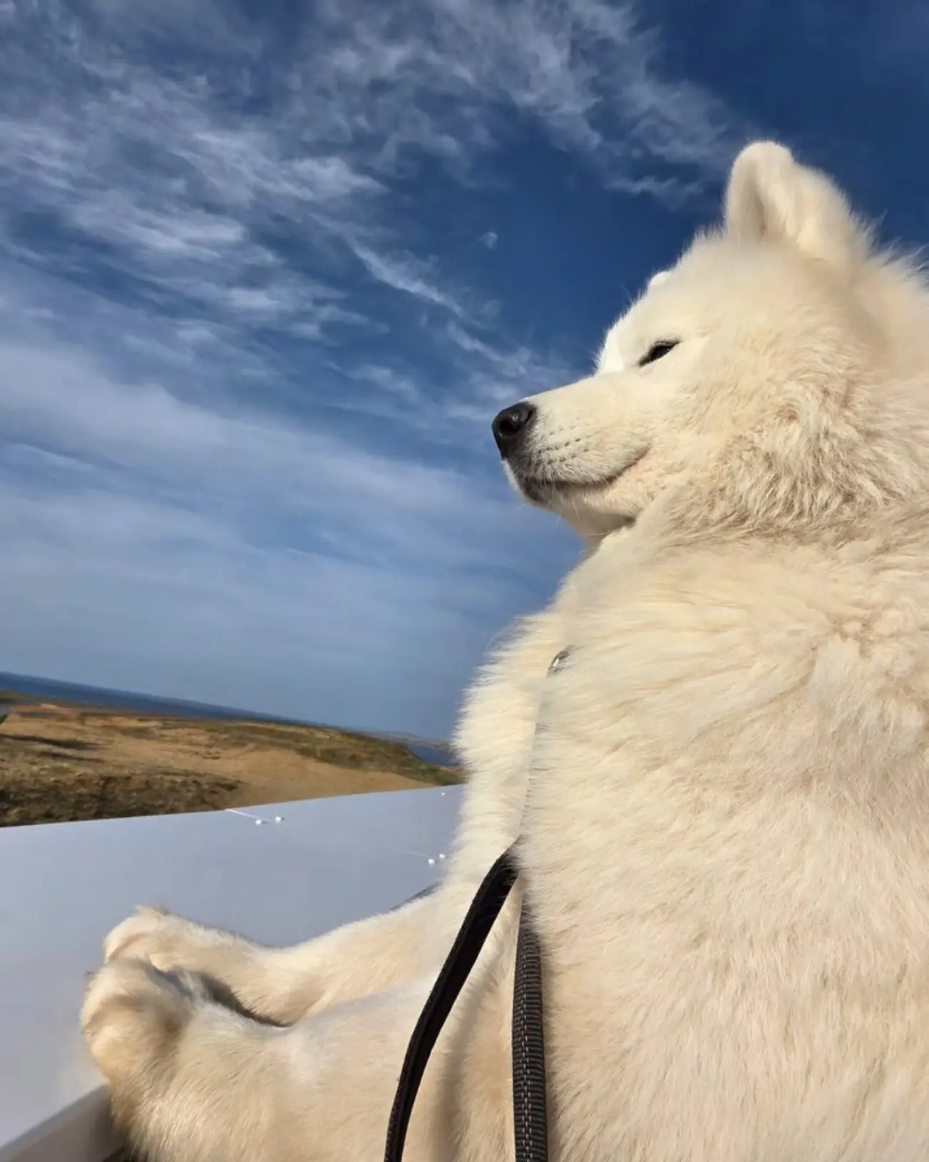 На Байкал вместе с теми, кто всегда рядом 🐕