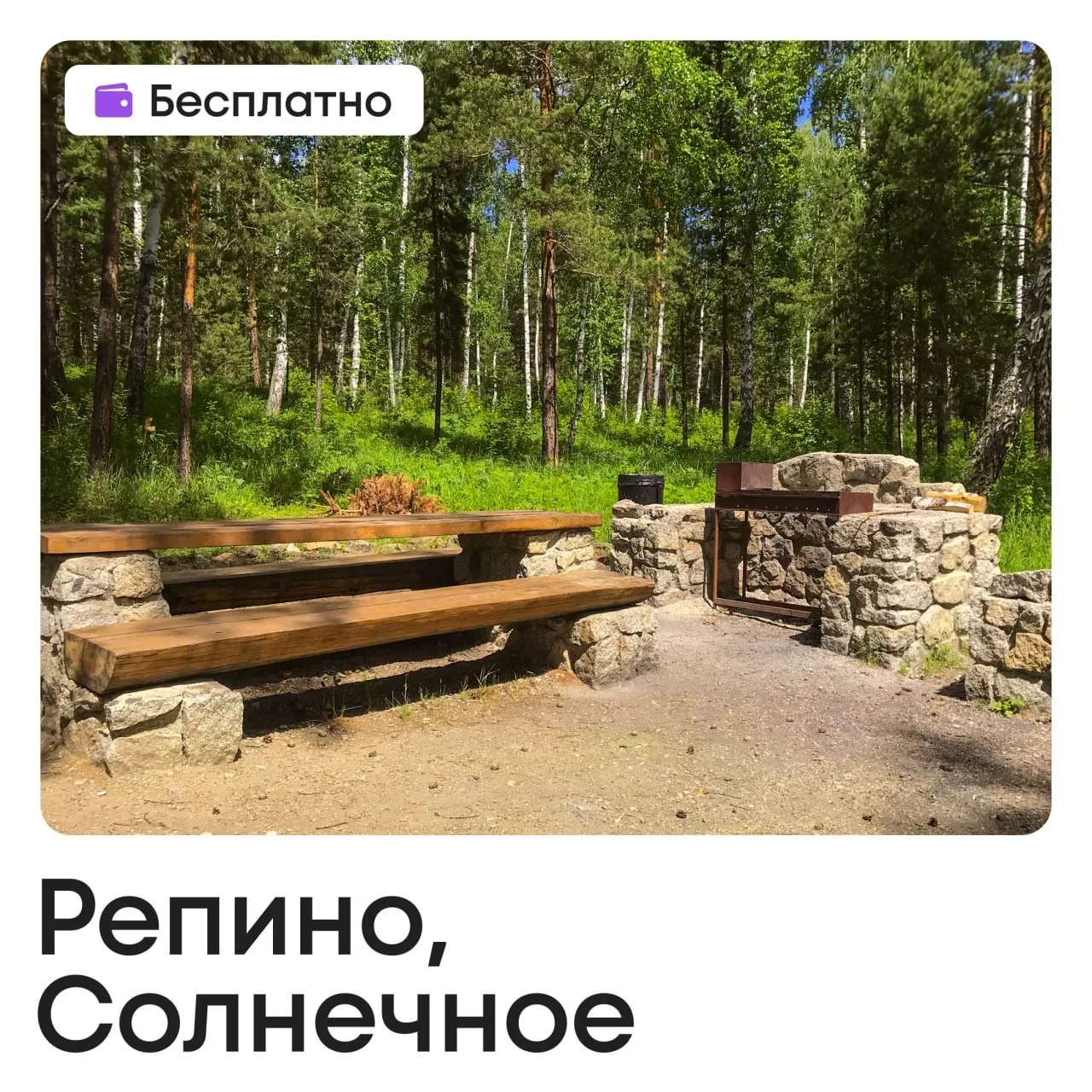 🍢 Майские без дачи: где бесплатно и законно жарить шашлыки в Петербурге   Какие майские без гриля и 