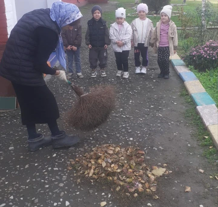 любим наблюдать мы за природой…🍃💚