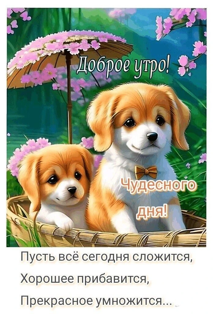 Красивые открытки❤️