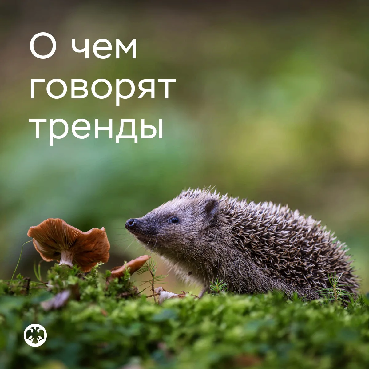 #ОЧемГоворятТренды