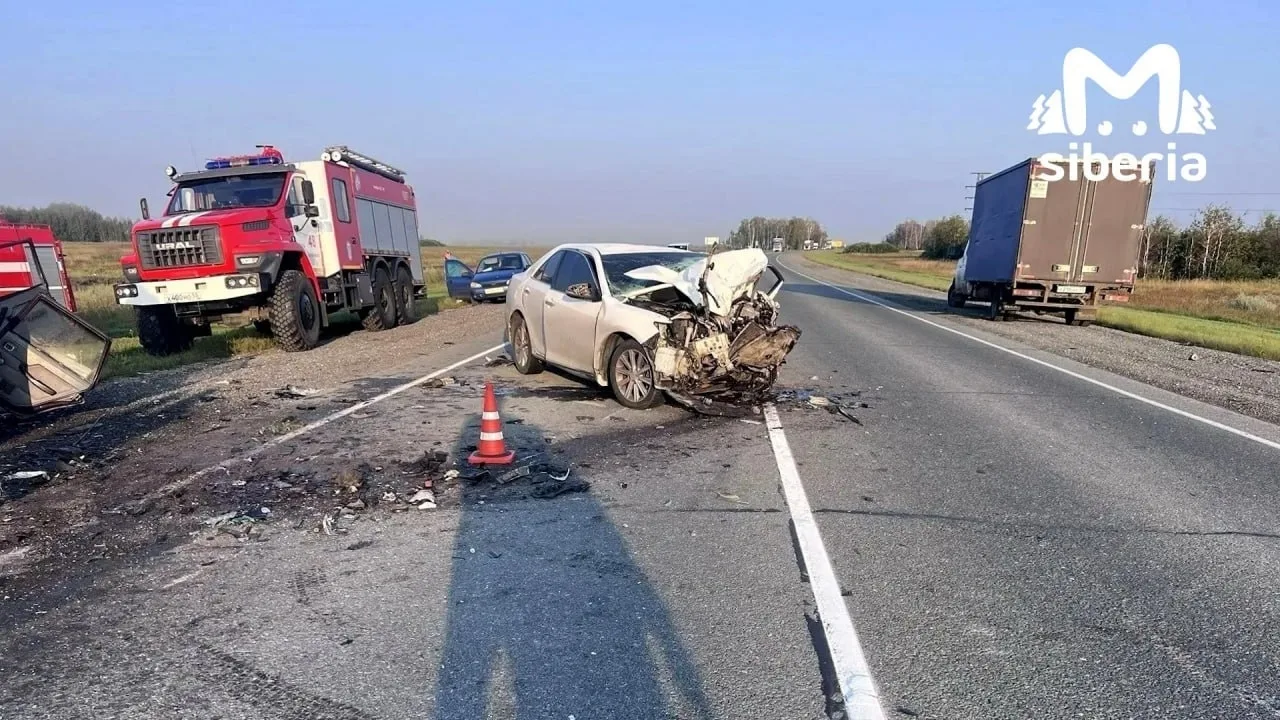 Два человека погибли в аварии из-за уснувшего водителя на трассе Новосибирск — Омск.