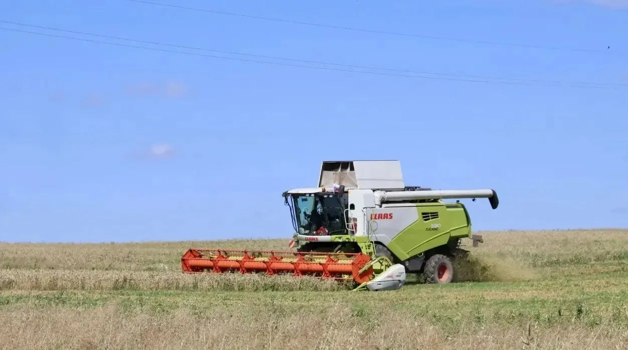 🌾 Аграрии работают с полной отдачей. Сегодня глава округа Владимир Михайлов  посетил п...