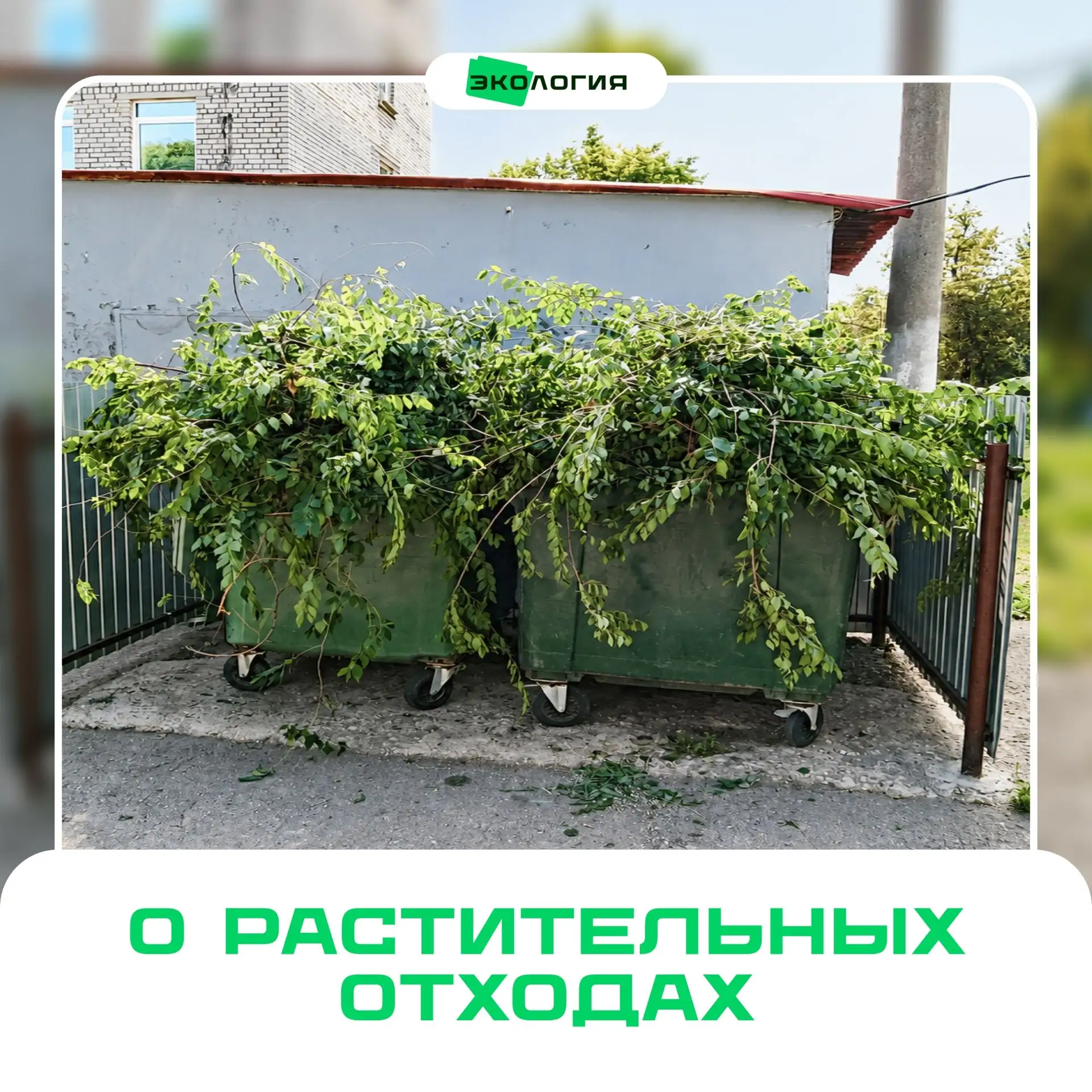🌿Региональный оператор АО "Экология" напоминает жителям, что ботва, ветки, корни, лист...