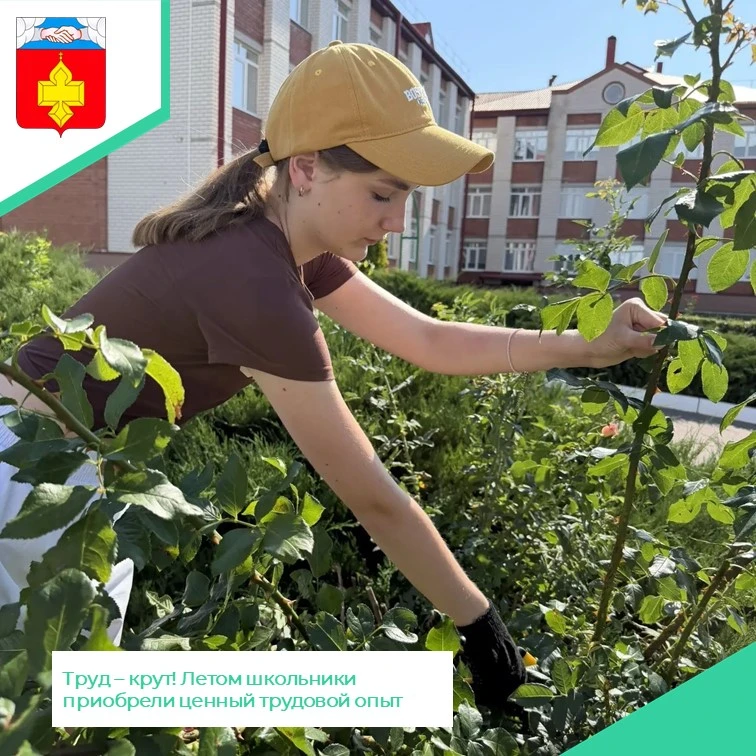 Трудовая занятость подростков Кантемировского района летом👍