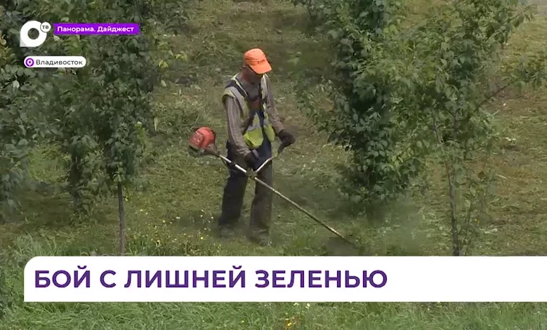 ✅Ежедневно выкашиваем траву и сорняки на улицах Владивостока