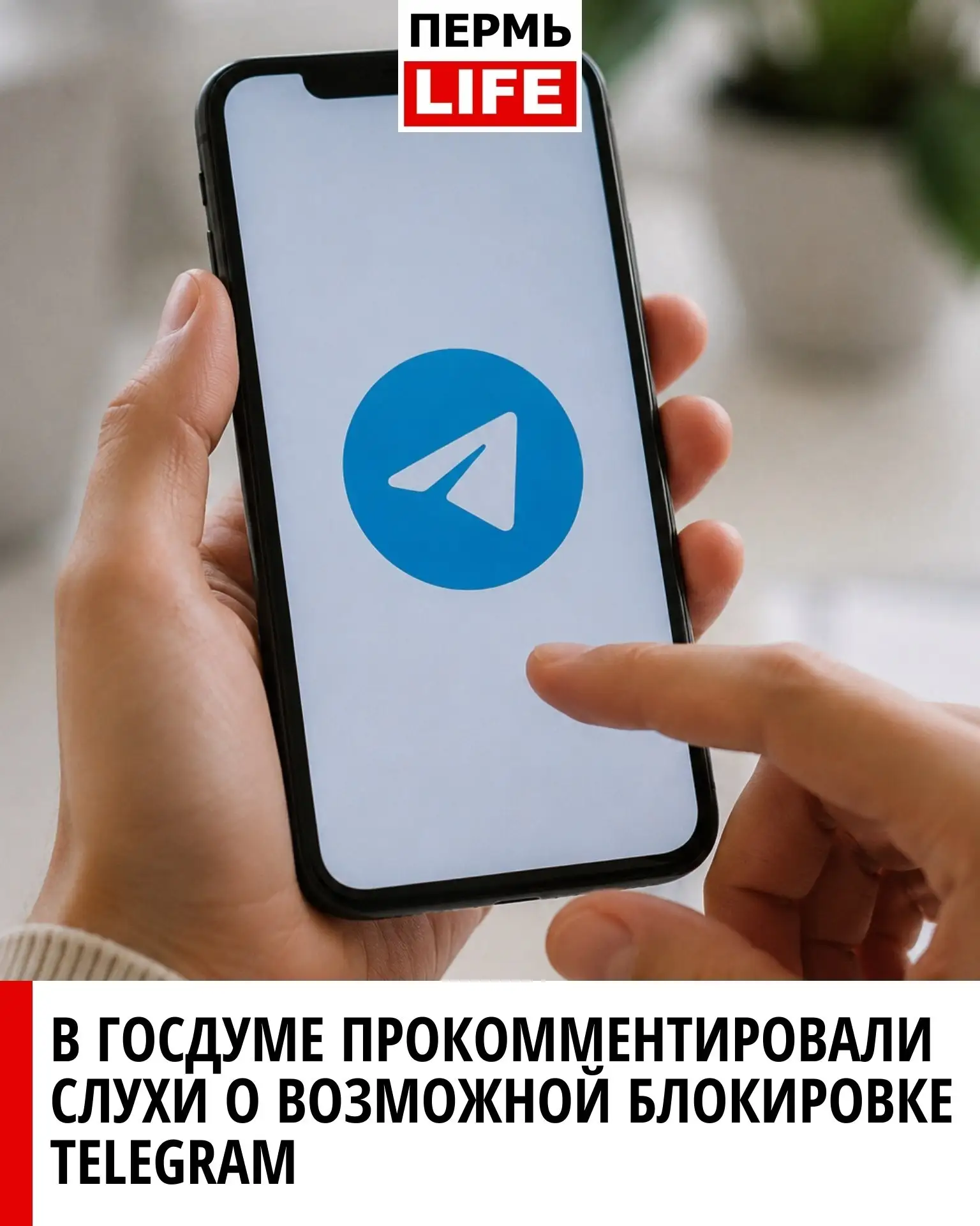 📱 В Госдуме прокомментировали слухи о возможной блокировке Telegram

В Государственной думе заявили