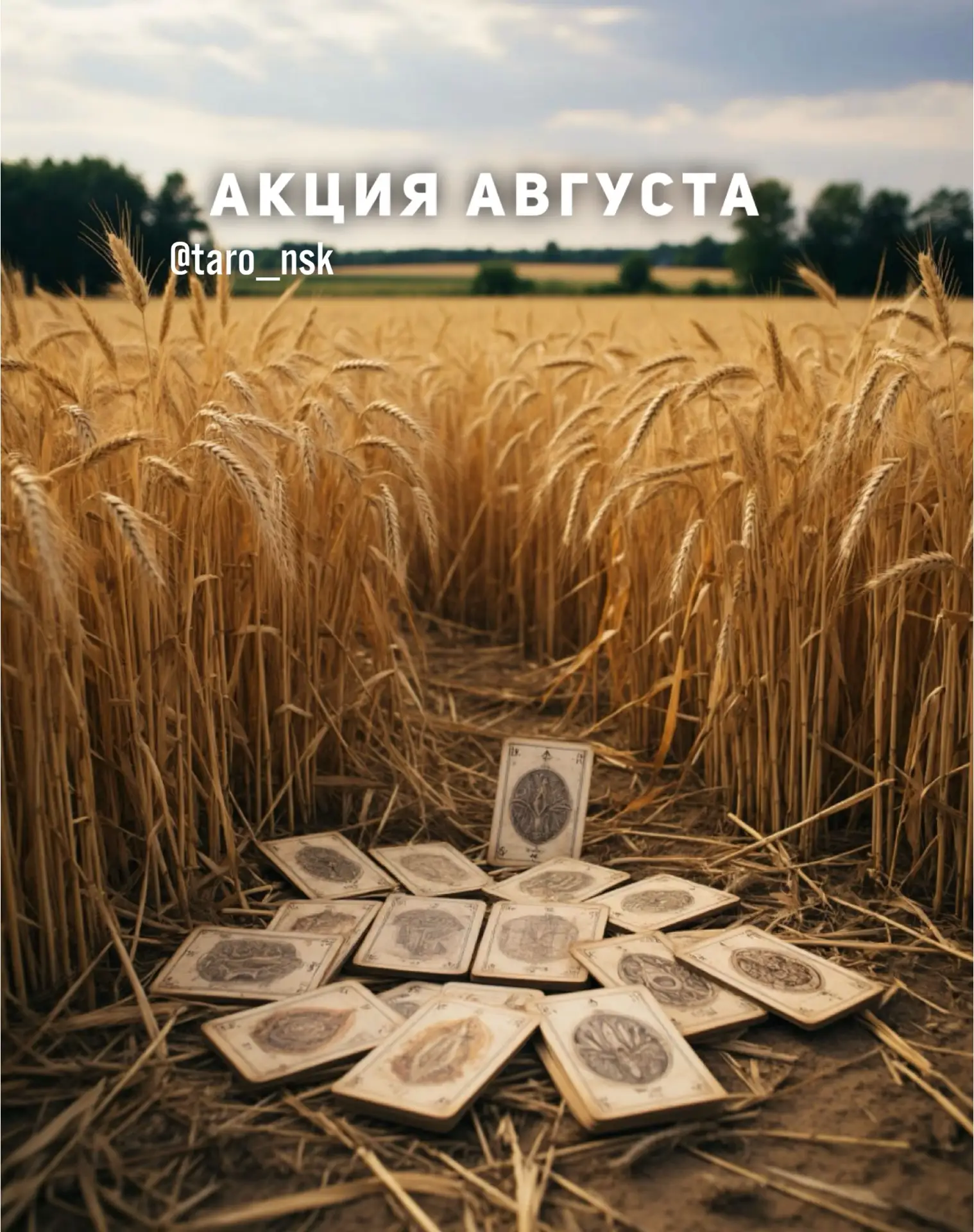 Акция августа🌞🌾

📜Тайный расклад поморских старцевна будущее:

▫️Перекресток судьбы;
▫️Камни указ