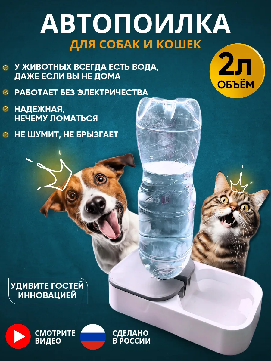 🌍🚀🗿Как девайс для кошек задел чувства «плоскоземельщиков» и при чем здесь лето?