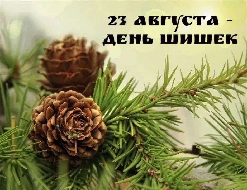 🌲23 августа — День шишек! 🌲