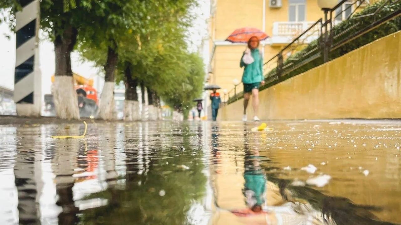 🌧 В Волгоградскую область после аномальной жары вернутся осадки и грозы

Наступающая неделя принесе