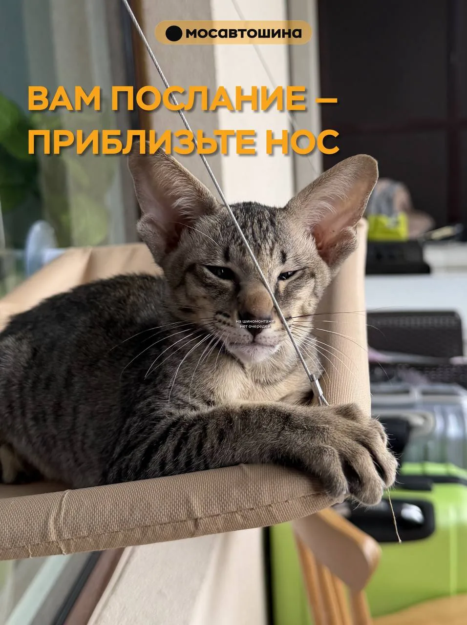 Мечты автомобилиста в сезон be like: