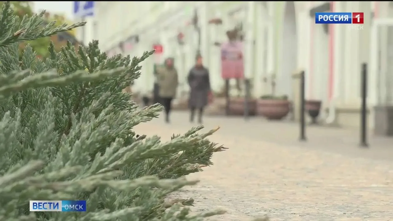 ❄️ В Омской области ожидается похолодание: снег, гололедица и порывы ветра
