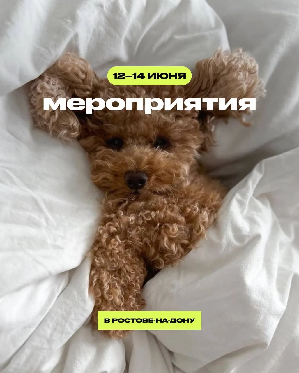 ✨ Уважаемые жители и гости Ростова-на-Дону!