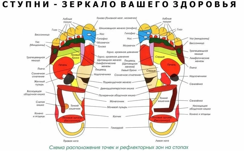 ПОЧЕМУ ПОЛЕЗНО МАССИРОВАТЬ СТОПЫ