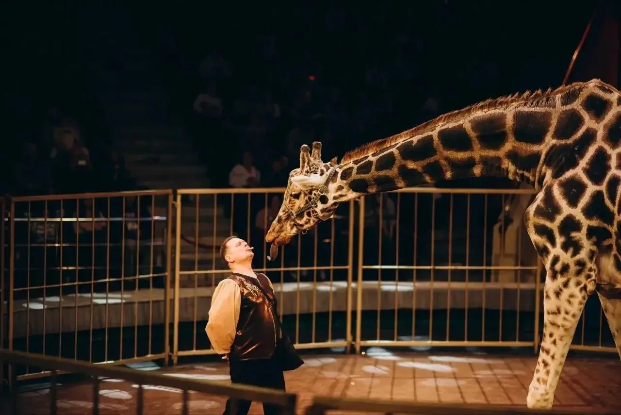 🔥 ГРАНДИОЗНАЯ СЕНСАЦИЯ В САРАТОВСКОМ  ЦИРКЕ! 🎪