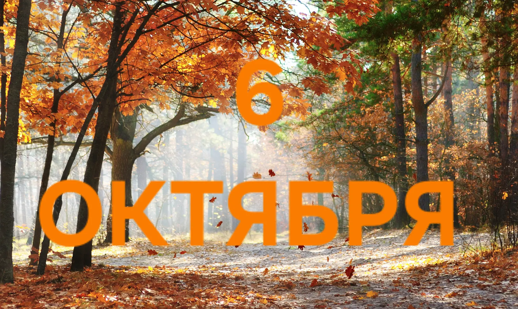 6 Октября: День силы, собранности, труда и материализации 💸💰👔