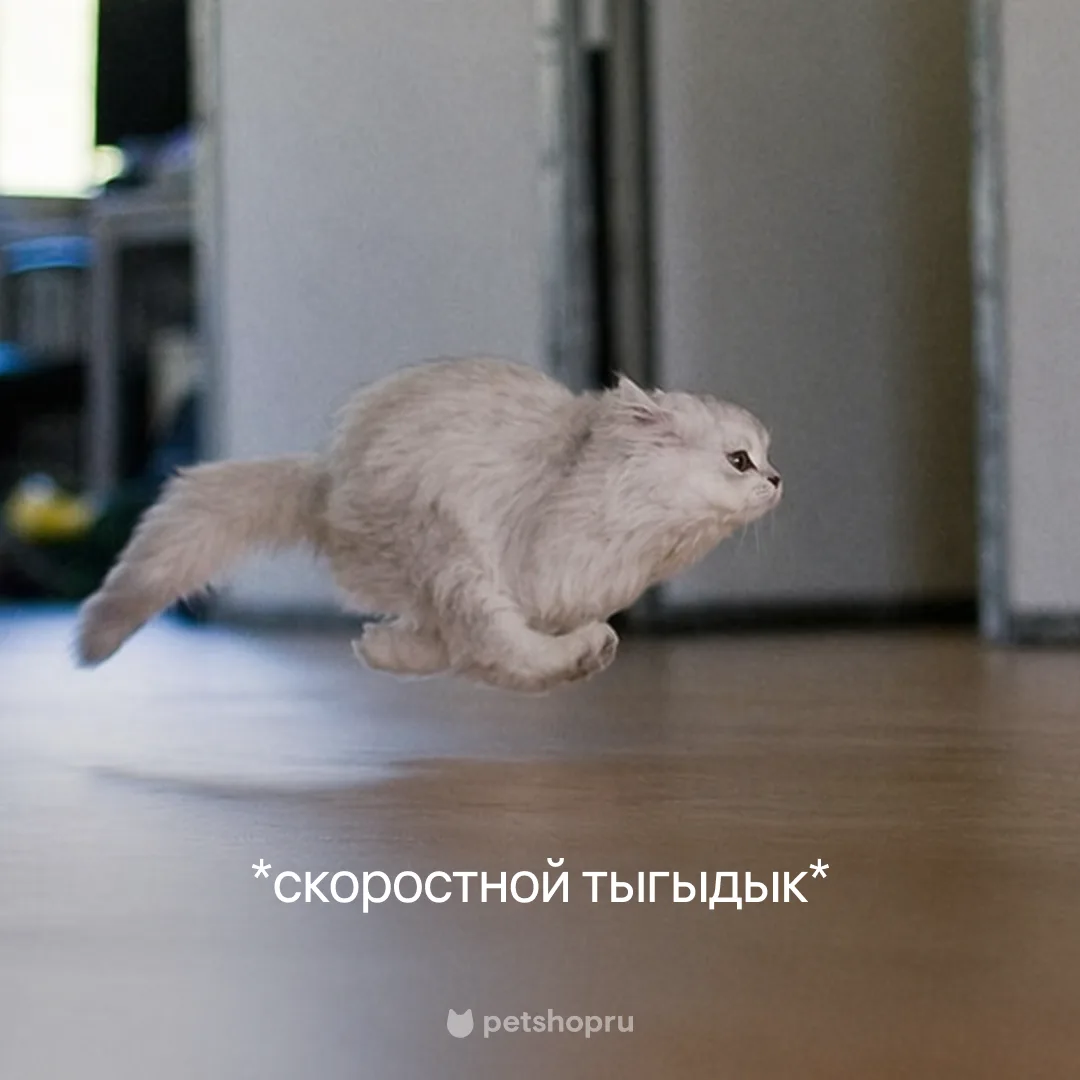 Ставьте ❤️ , если ночь не обходится без ночных тыгыдыков!