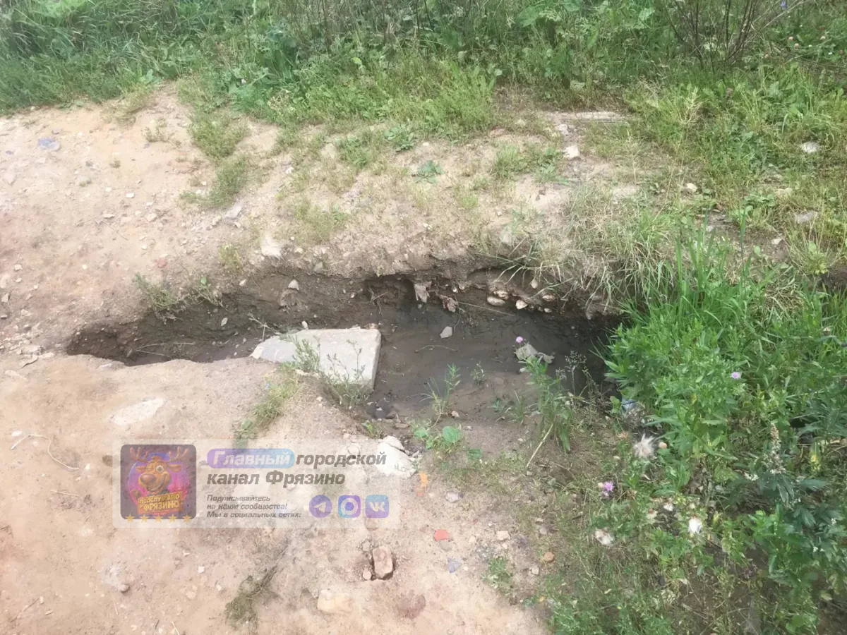 📍 Жители сообщают об «экологической катастрофе» в Гребнево
